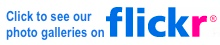blocks_image