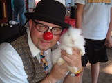 magician and bunny 
