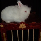 DSCF2349